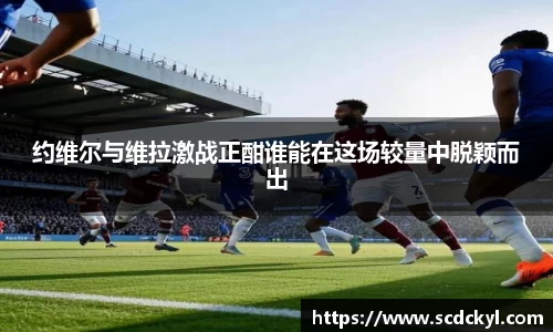 DG视讯官方网站